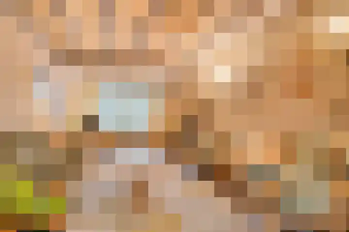 Predikherenlaan 122 Tilburg thumbnail 11