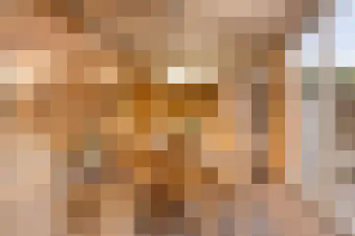 Predikherenlaan 122 Tilburg thumbnail 13