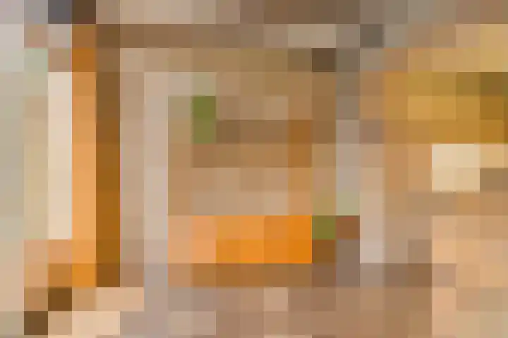 Predikherenlaan 122 Tilburg thumbnail 15