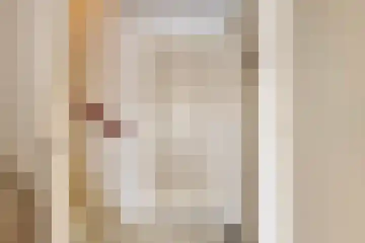 Predikherenlaan 122 Tilburg thumbnail 20