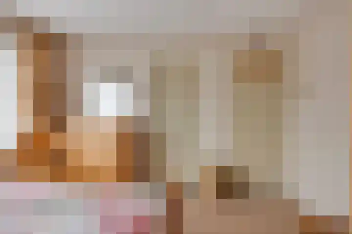 Predikherenlaan 122 Tilburg thumbnail 22