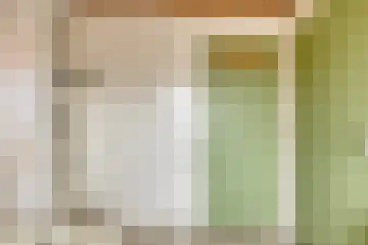 Predikherenlaan 122 Tilburg thumbnail 24