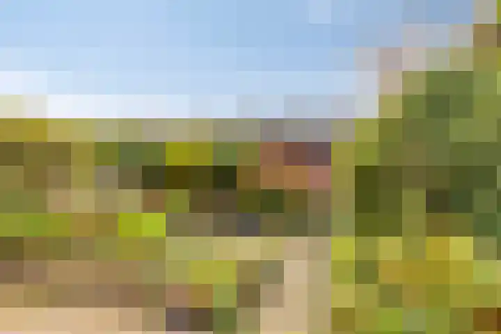 Predikherenlaan 122 Tilburg thumbnail 33