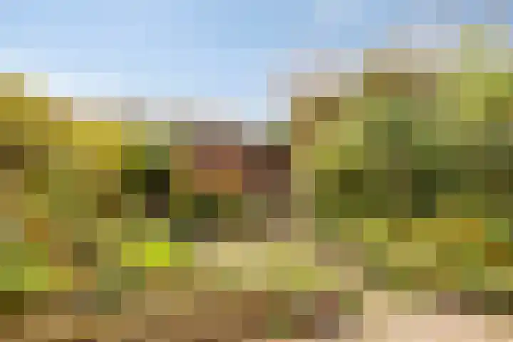 Predikherenlaan 122 Tilburg thumbnail 34