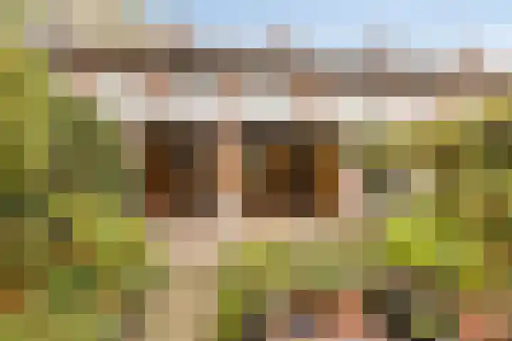 Predikherenlaan 122 Tilburg thumbnail 35