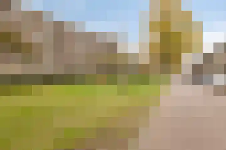 Predikherenlaan 122 Tilburg thumbnail 39