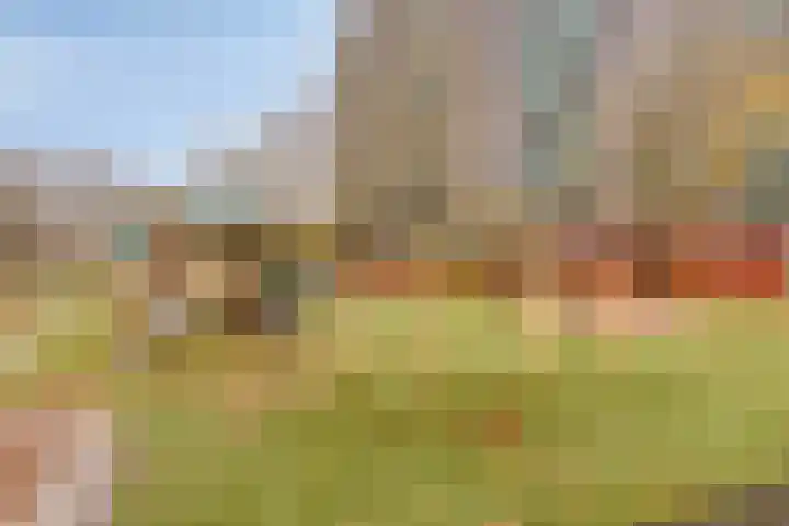 Predikherenlaan 122 Tilburg thumbnail 40