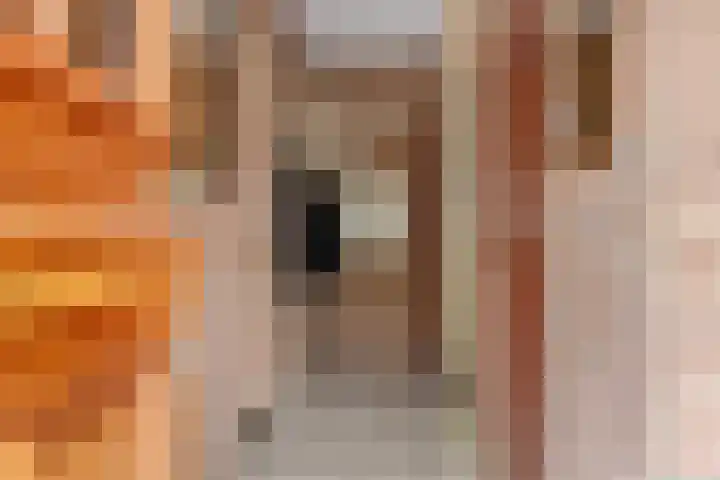 Predikherenlaan 122 Tilburg thumbnail 5
