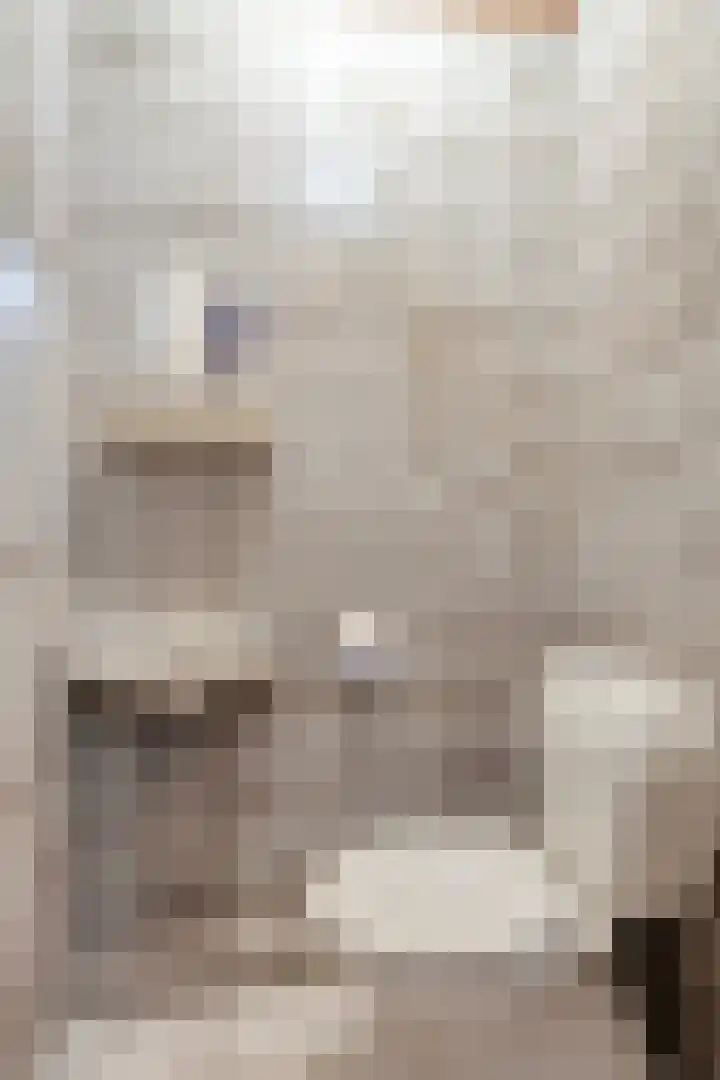 Predikherenlaan 122 Tilburg thumbnail 6