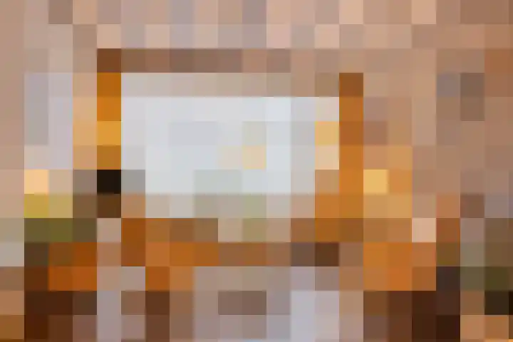 Predikherenlaan 122 Tilburg thumbnail 9