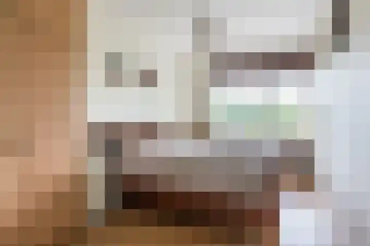 Predikherenlaan 61 Tilburg thumbnail 10
