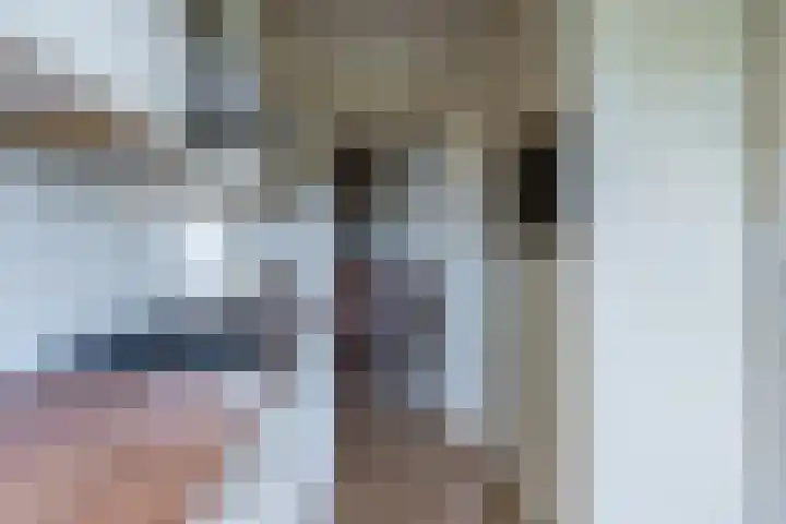 Predikherenlaan 61 Tilburg thumbnail 16