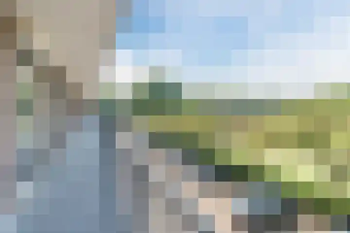 Predikherenlaan 61 Tilburg thumbnail 23