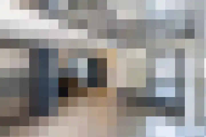 Predikherenlaan 61 Tilburg thumbnail 24