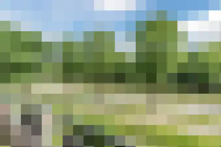 Predikherenlaan 61 Tilburg thumbnail 6