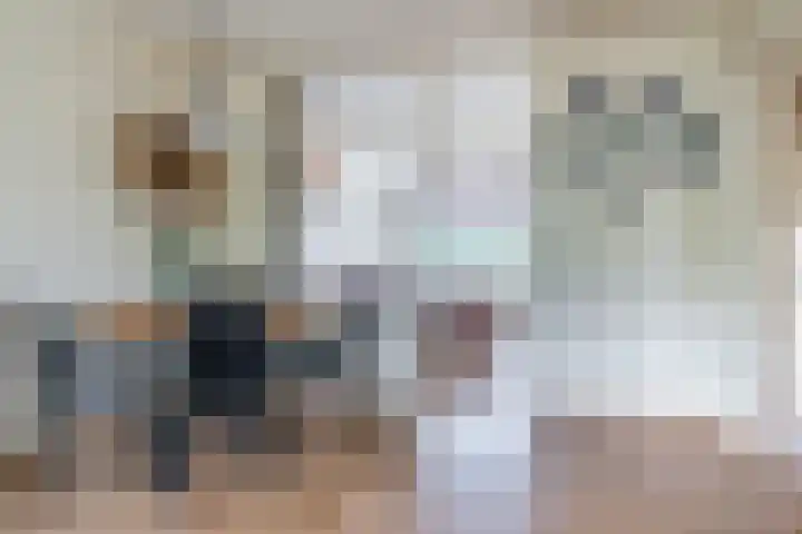 Predikherenlaan 61 Tilburg thumbnail 8