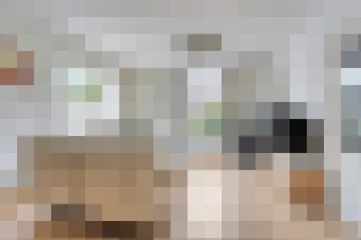 Predikherenstraat 1 Gemert thumbnail 13