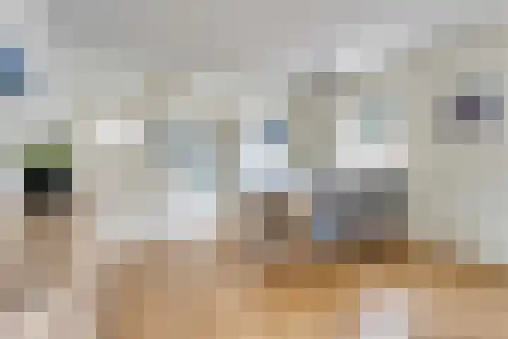Predikherenstraat 1 Gemert thumbnail 16