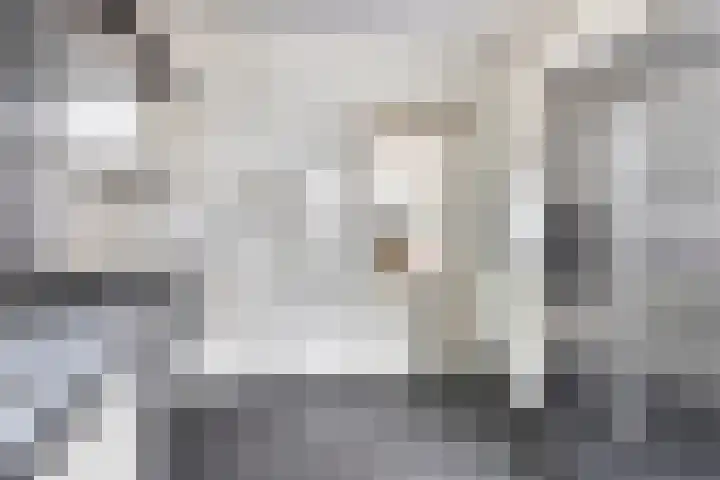 Predikherenstraat 1 Gemert thumbnail 21