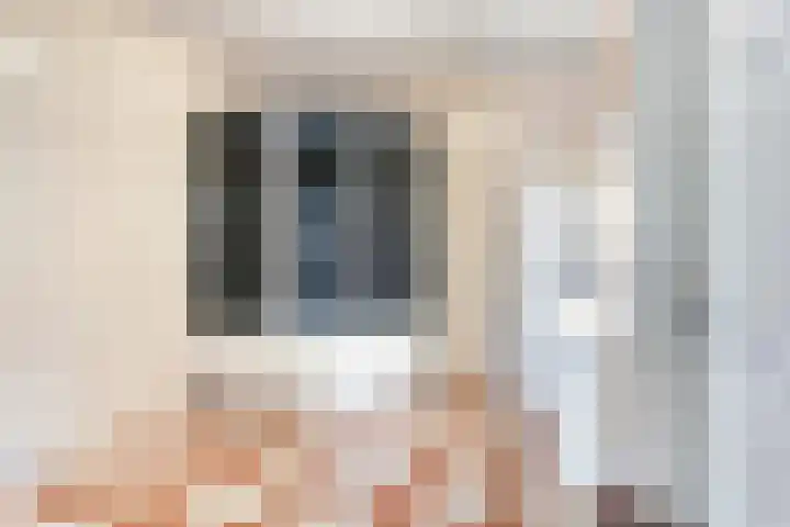 Predikherenstraat 1 Gemert thumbnail 22
