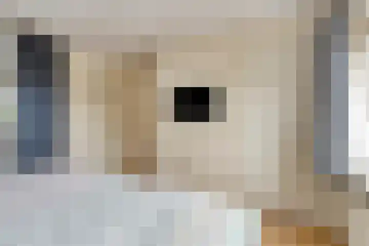 Predikherenstraat 1 Gemert thumbnail 27
