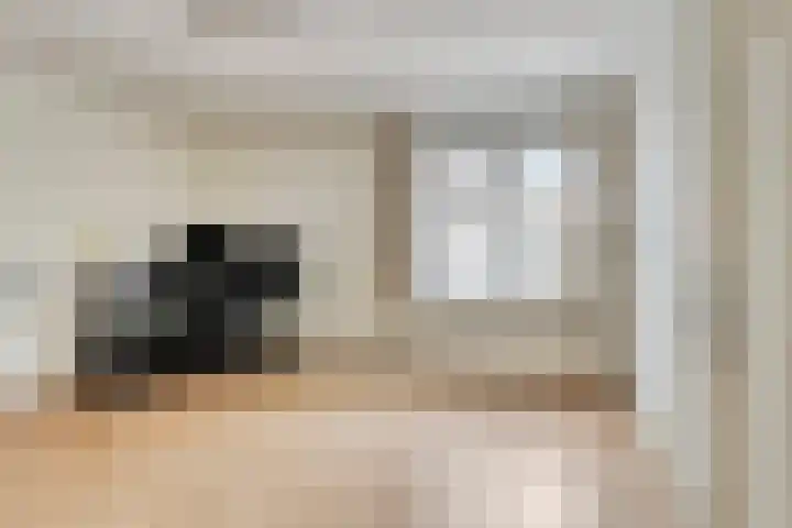 Predikherenstraat 1 Gemert thumbnail 31