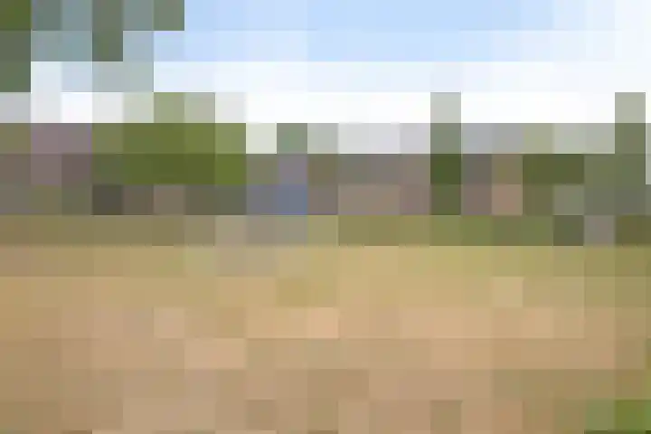 Predikherenstraat 1 Gemert thumbnail 39