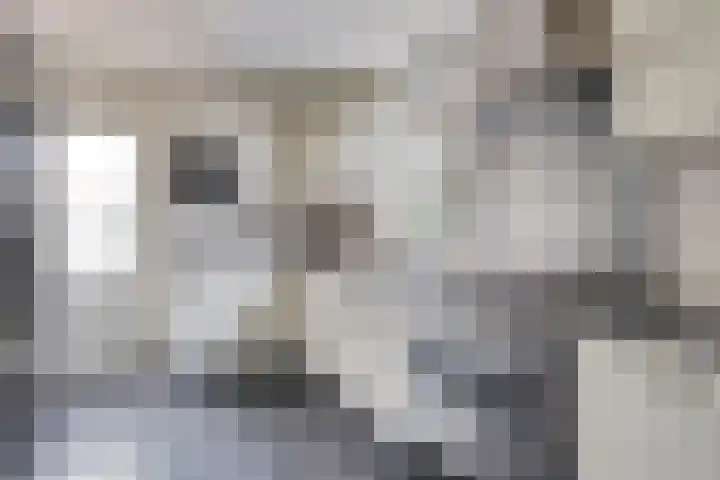 Predikherenstraat 1 Gemert thumbnail 4