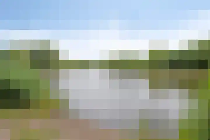 Predikherenstraat 1 Gemert thumbnail 40