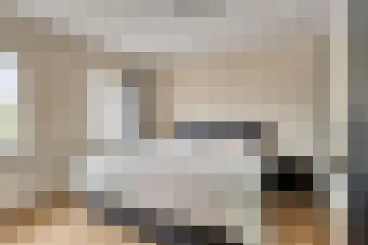 Predikherenstraat 1 Gemert thumbnail 5