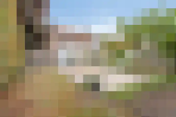 Predikherenstraat 1 Gemert thumbnail 6