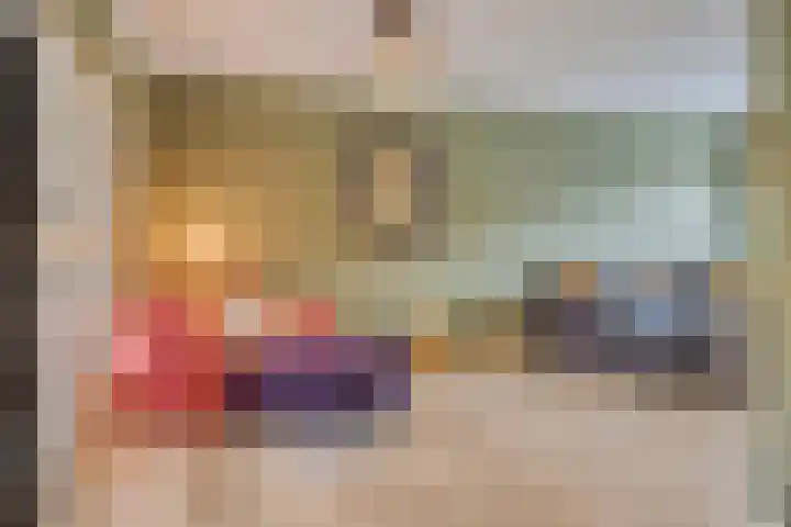 Prelaat van Dinterstraat 64 Gemert thumbnail 12
