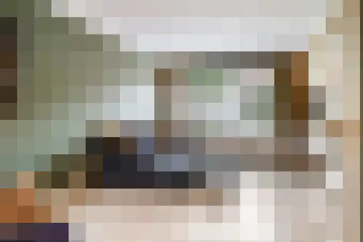 Prelaat van Dinterstraat 64 Gemert thumbnail 13