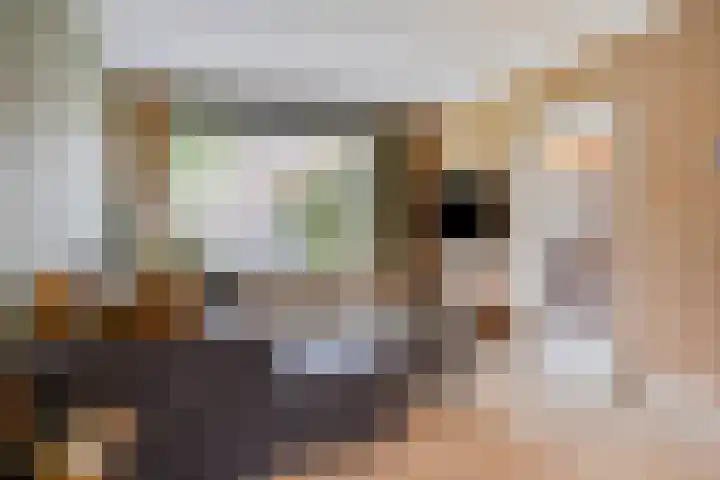 Prelaat van Dinterstraat 64 Gemert thumbnail 14