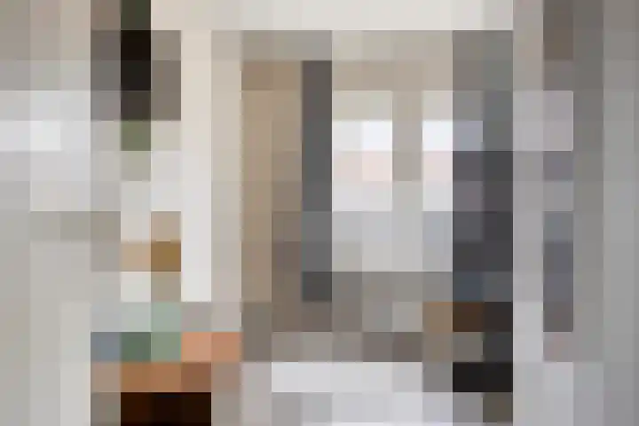 Prelaat van Dinterstraat 64 Gemert thumbnail 25