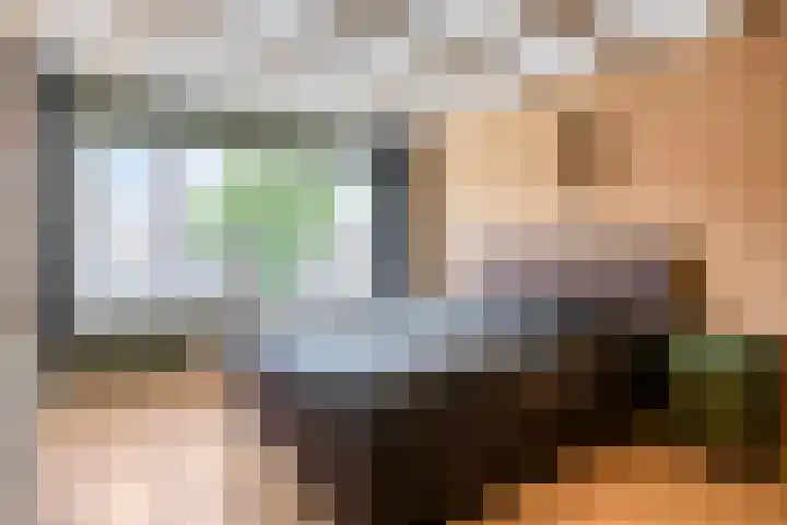 Prelaat van Dinterstraat 64 Gemert thumbnail 26