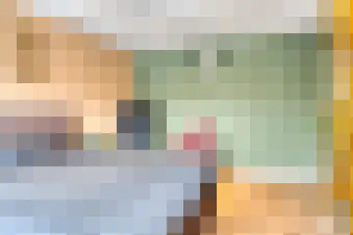 Prelaat van Dinterstraat 64 Gemert thumbnail 27