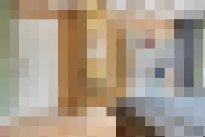 Prelaat van Dinterstraat 64 Gemert thumbnail 28