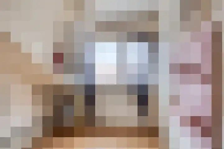 Prelaat van Dinterstraat 64 Gemert thumbnail 34