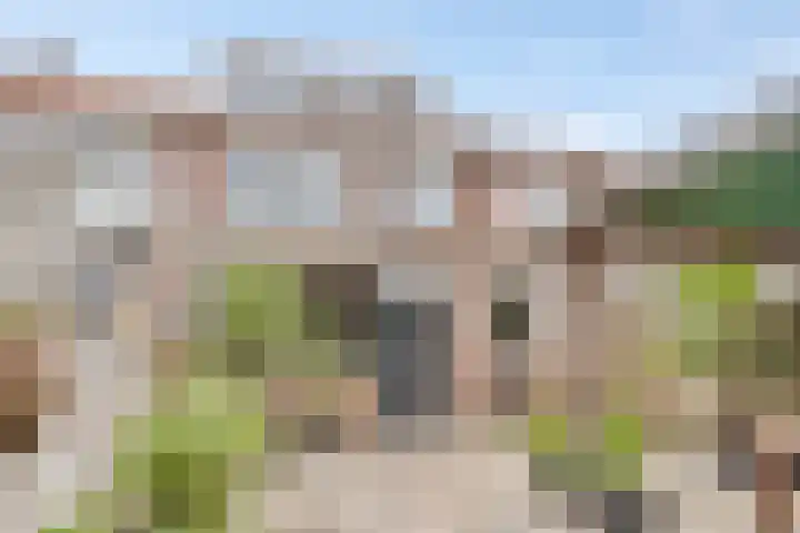 Prelaat van Dinterstraat 64 Gemert thumbnail 37