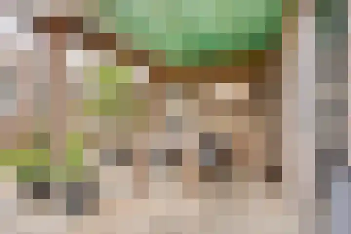 Prelaat van Dinterstraat 64 Gemert thumbnail 38