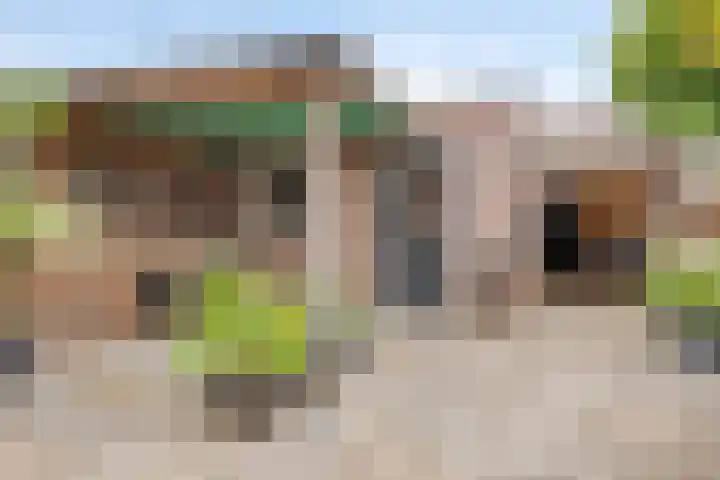 Prelaat van Dinterstraat 64 Gemert thumbnail 39