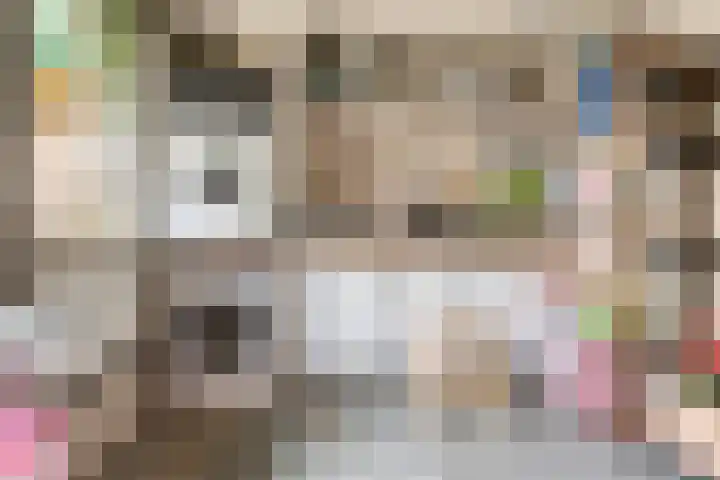 Prelaat van Dinterstraat 64 Gemert thumbnail 41