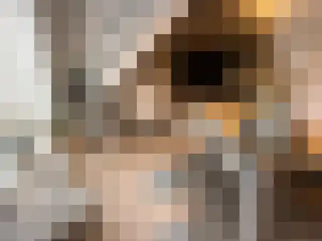 Preludeweg 3 Almere thumbnail 4