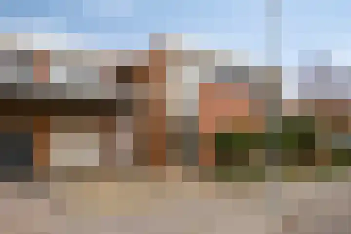 Presentpeer 9 in Eijsden