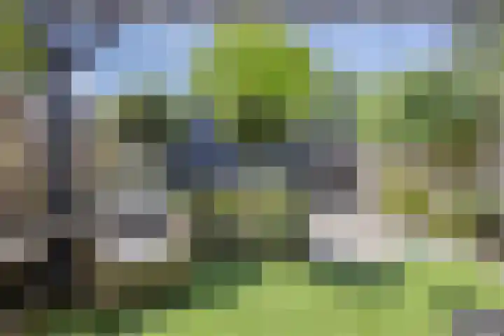 Pretoriusstraat 74 Ridderkerk thumbnail 30
