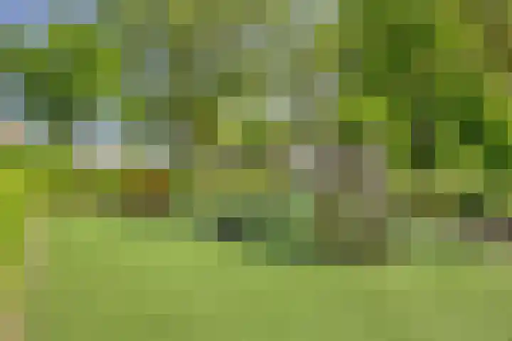 Pretoriusstraat 74 Ridderkerk thumbnail 34