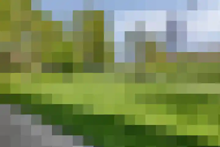 Pretoriusstraat 74 Ridderkerk thumbnail 36