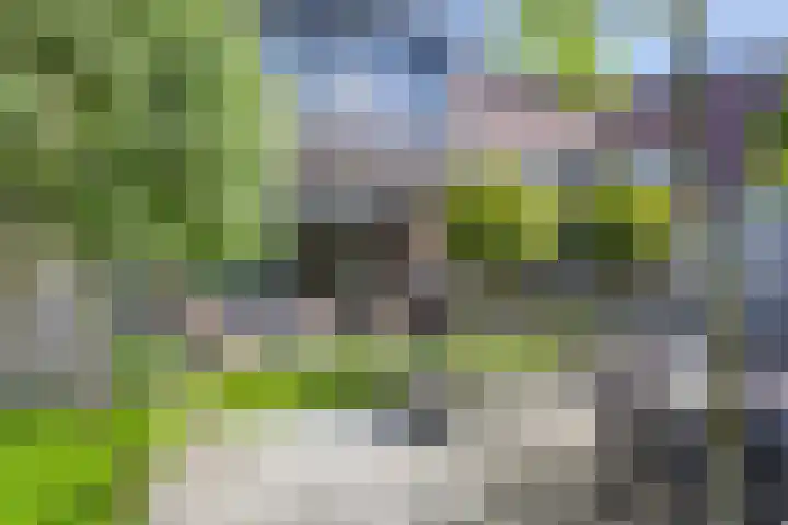 Pretoriusstraat 74 Ridderkerk thumbnail 4