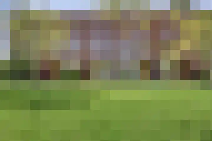 Pretoriusstraat 74 Ridderkerk thumbnail 42